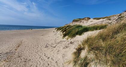 4 Star Holiday Home in Ulfborg