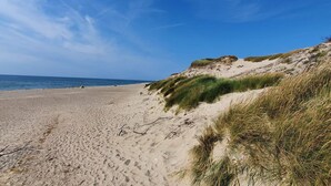 Une plage avec des dunes de sable et un ciel dégagé.