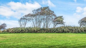 A grassy field with a row of trees and a hedge in the background. - 4 Star Holiday Home in Nordborg (Nordborg)