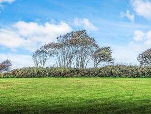 A grassy field with a row of trees and a hedge in the background. - 4 Star Holiday Home in Nordborg (Nordborg)