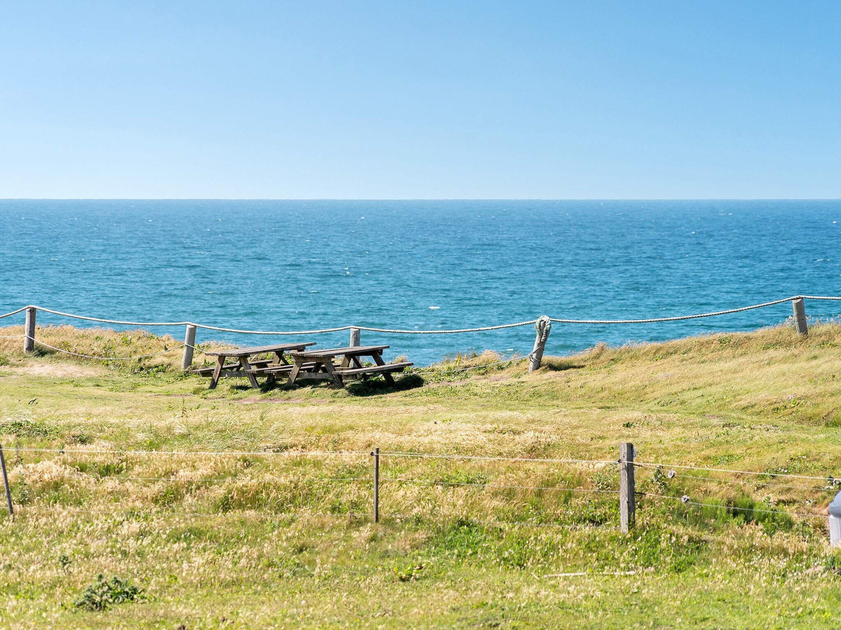 A grassy area with picnic tables and a rope barrier, overlooking a body of water.