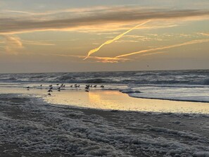 A beach with waves, a sunset, and birds. - 5 Star Holiday Home in Henne (Henne)