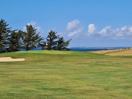 Campo de golf con una bandera, árboles y vista al mar.