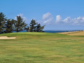 A golf course with a flagstick, trees, and a view of the sea. - 6 Person Holiday Home in Struer (Struer)