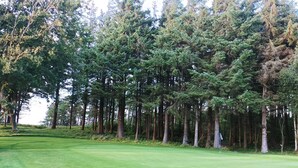 A golf course with a well-maintained green, tall trees, and a clear sky. - 6 Person Holiday Home in Struer (Struer)