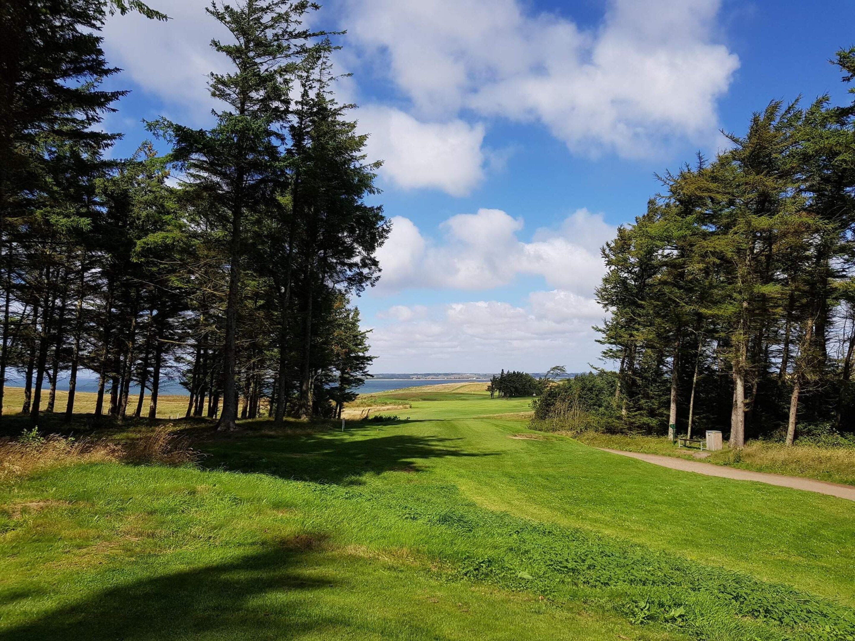 Un campo da golf con cielo sereno, circondato da alberi alti e una vista lontana del mare.