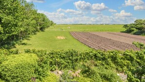 A vineyard with rows of grapevines and a clear sky. - 6 Person Holiday Home in Ringkobing (Ringkobing)