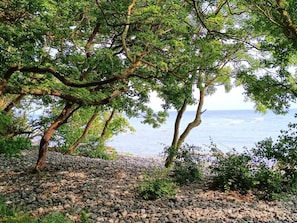 A rocky shoreline with trees and a view of the sea. - Beautiful Holiday Home in Borre (Borre)