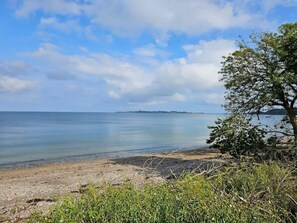 A beach with clear water, a distant island, and a tree in the foreground. - 6 Person Holiday Home in Haderslev (Haderslev)