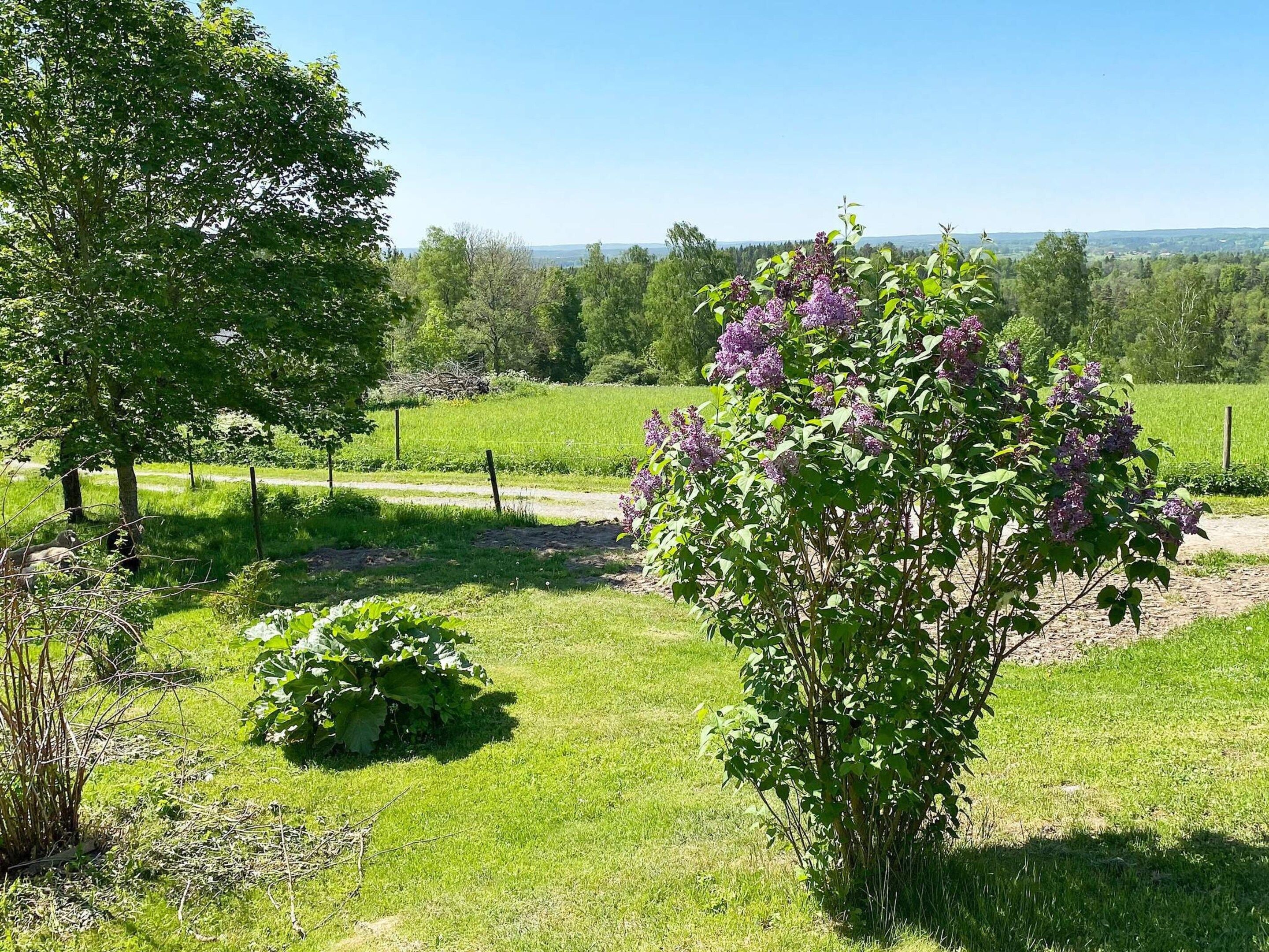 House | Property grounds