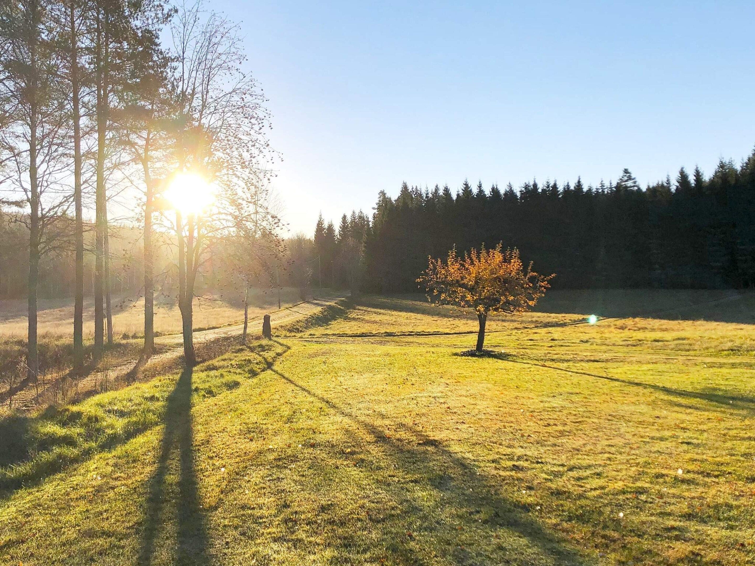 Eksteriør