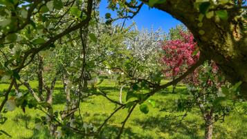 Casa | Detalle exterior