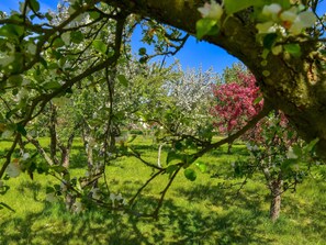 Casa | Detalle del exterior