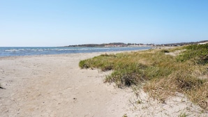A sandy beach with dunes and a clear blue sky. - 4 Star Holiday Home in Varberg-by Traum (Varberg)