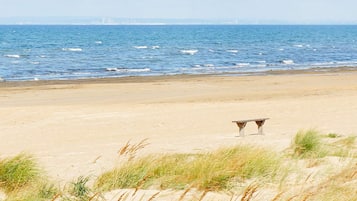 A beach with a bench and dunes.