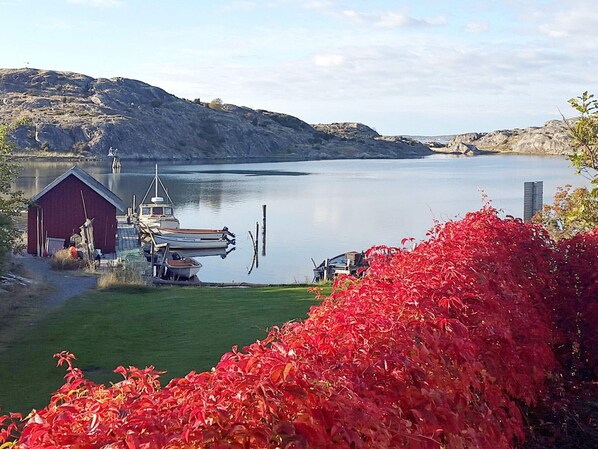 House | Marina