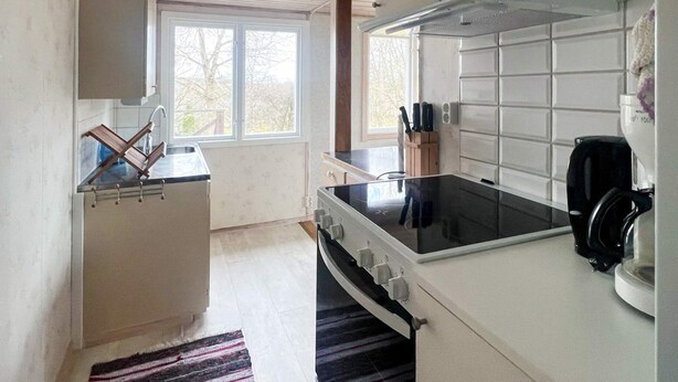 A compact kitchen with a stove, sink, and window. - 4 Person Holiday Home in Lekeryd (Lekeryd)