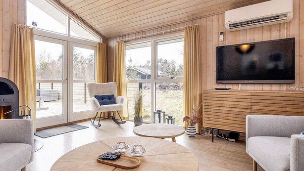 A modern living room with a fireplace, a large TV, and a cozy seating area. - 4 Star Holiday Home in Albaek (Aalbaek)