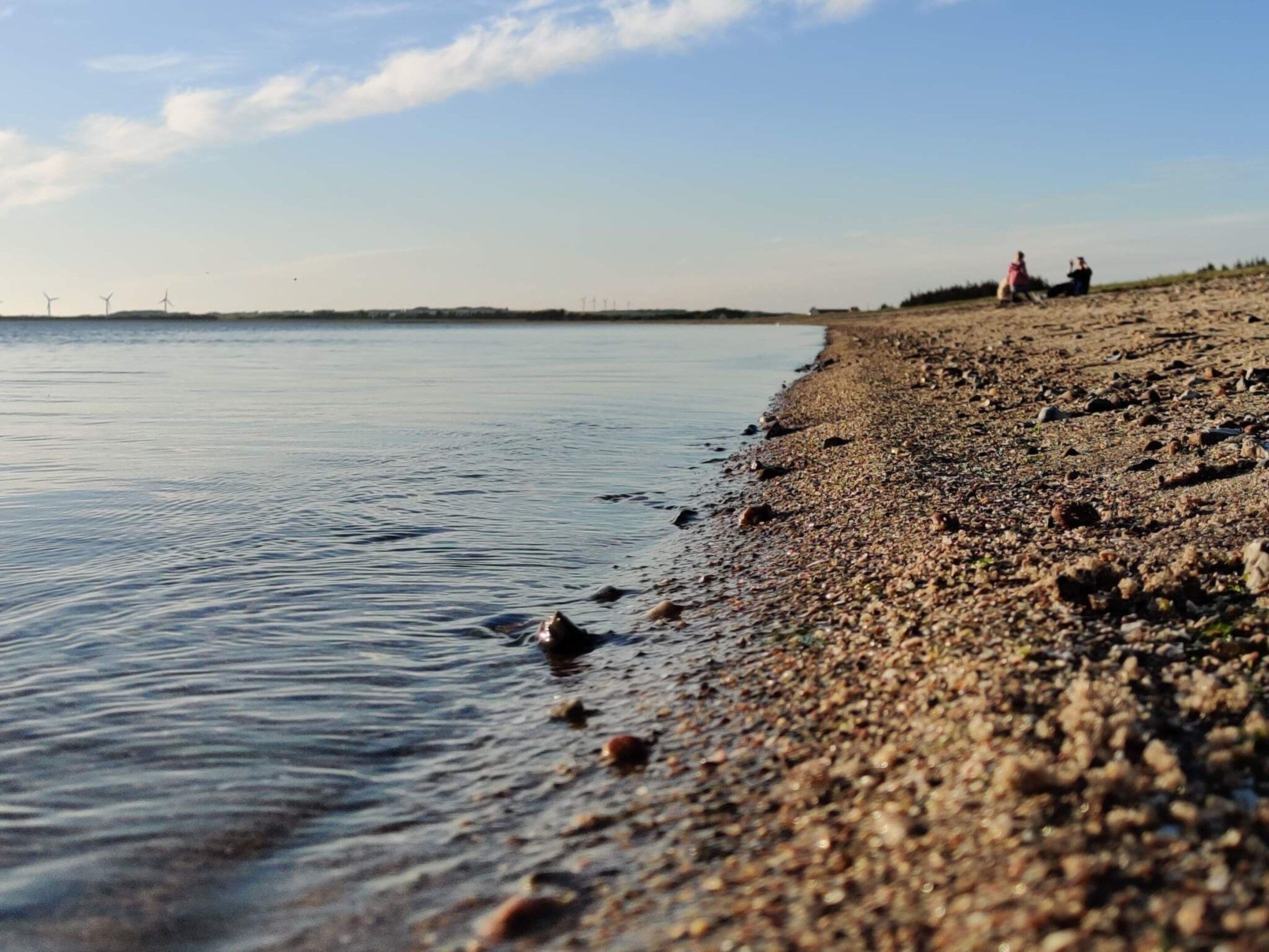 En strand med småsten, lugnt vatten, vindkraftverk i fjärran och en klar himmel.
