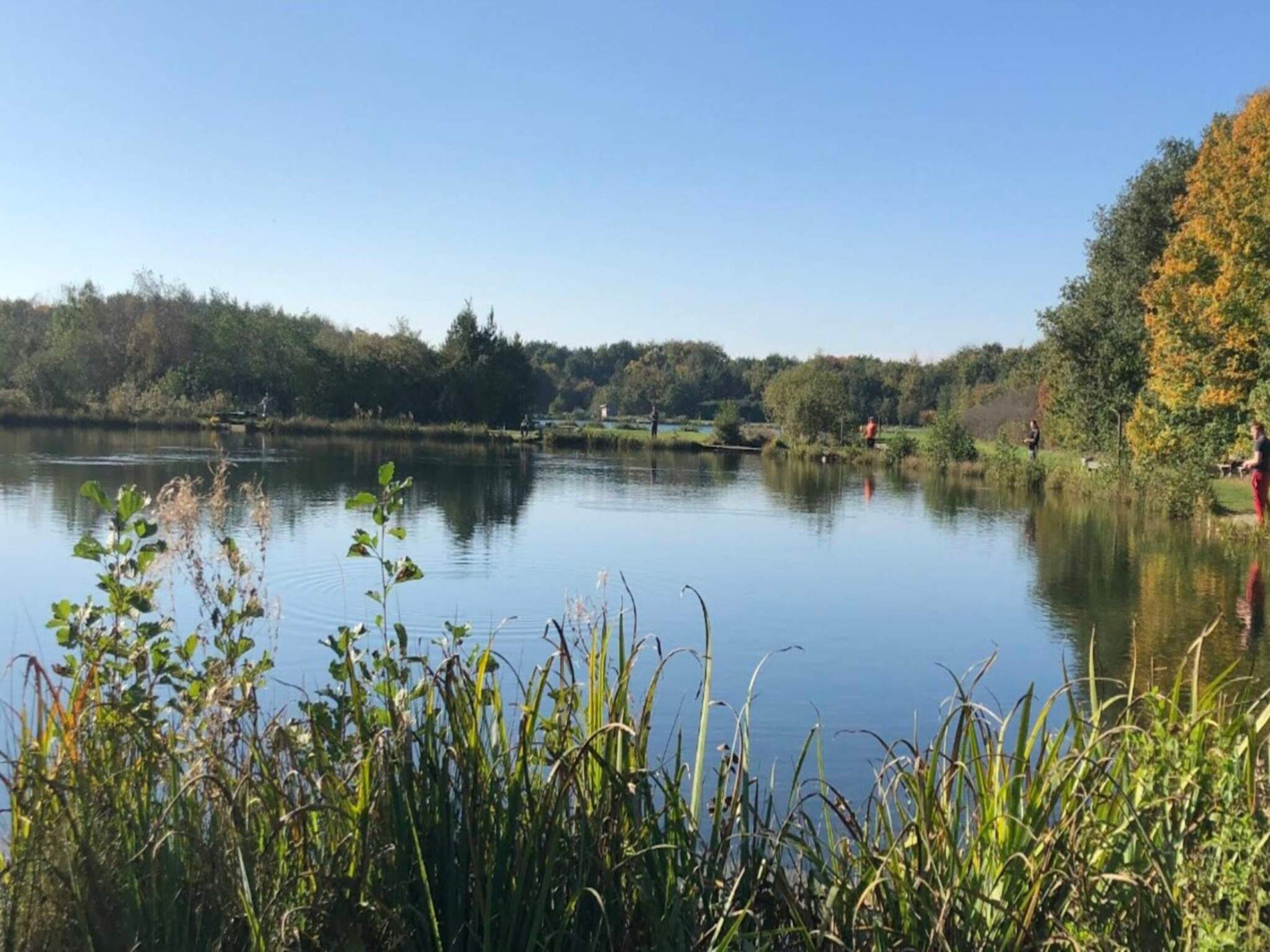 A calm lake with surrounding greenery and a clear sky.