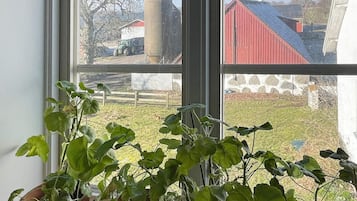 House | View from property