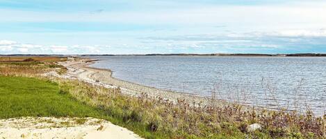 House | Beach | Fishing