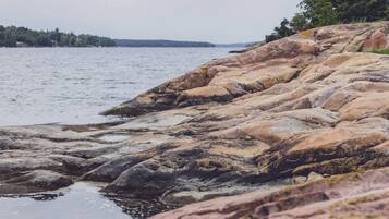 A rocky shoreline with water, trees, and a distant landmass.