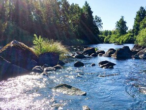 Un río con rocas y vegetación, rodeado de árboles.