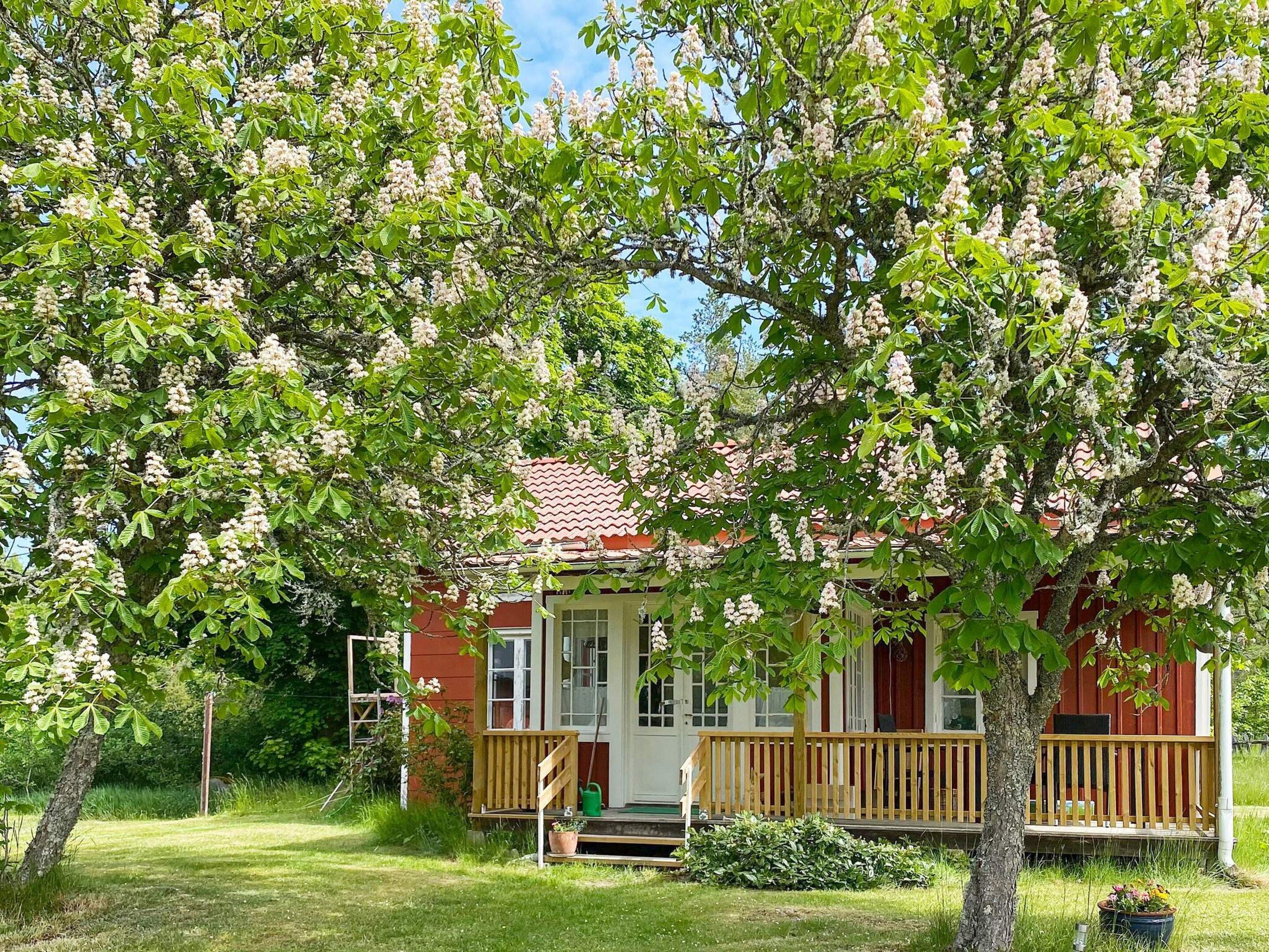 A red house with a porch, surrounded by trees with white flowers.