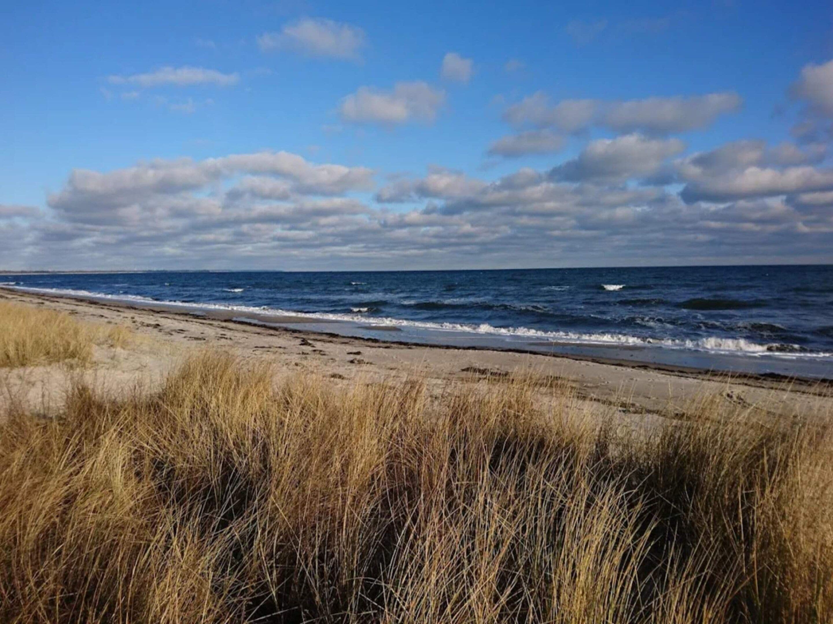 Een strand met zand en gras op de voorgrond, en de oceaan op de achtergrond.
