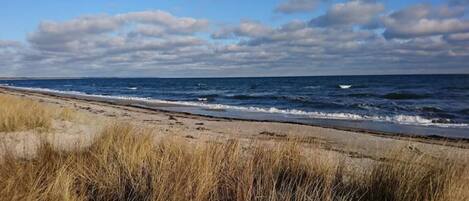 A beach with sand and grass in the foreground, and the ocean in the background.