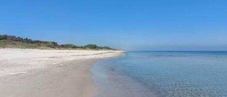 A wide sandy beach with clear blue water and a distant tree line.