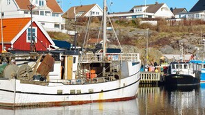 A harbor with boats docked, a red building, and houses in the background.