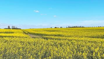 Casa | 1 dormitorio y mobiliario individual