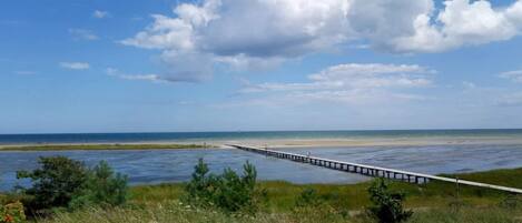 ชายหาด