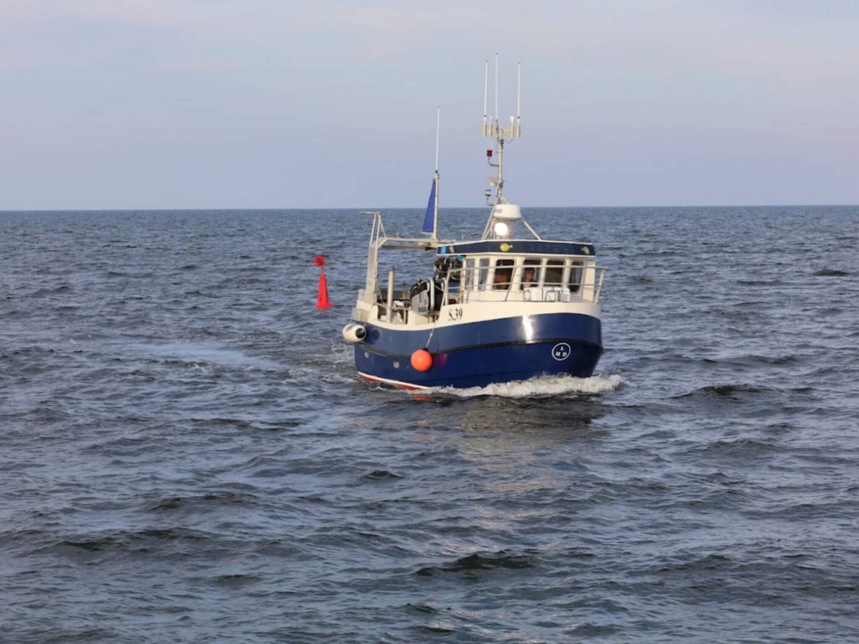 Un bateau doté d’une cabine et arborant une livrée bleue et blanche, naviguant sur une étendue d’eau.