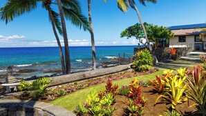 A coastal property with a garden, palm trees, and a view of the ocean. - Hale Kale:Direct Oceanfront Masterpiece,Modern Spectacular One of a Kind Home (KAILUA KONA)