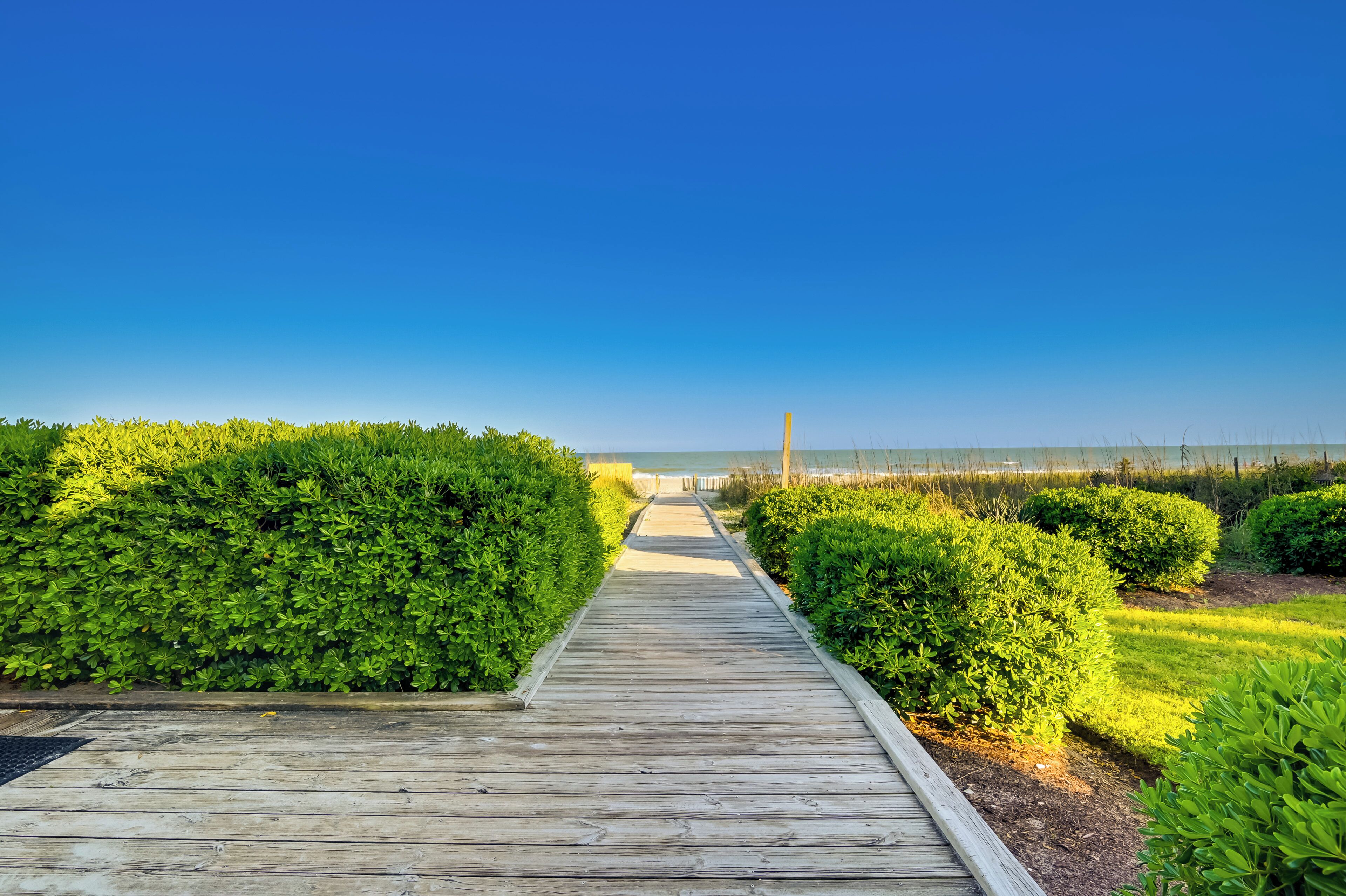 Apartment (1 Bedroom) | Bahagian dalam