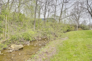 Un paisaje natural con un arroyo, árboles y una zona cubierta de hierba.