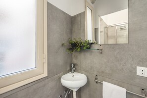 Chuveiro, secador de cabelo, toalhas de banho