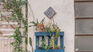 Variedad de plantas en macetas dispuestas en un patio con suelo de baldosas, con un estante azul que sostiene un regador y una baldosa decorativa.