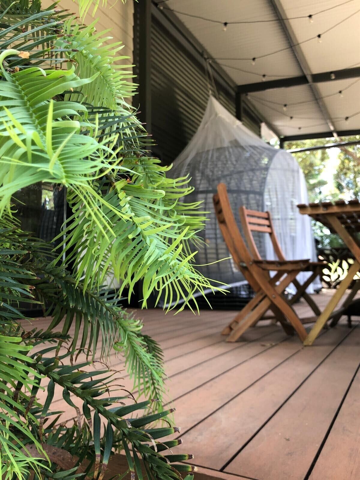 A wooden deck with a potted plant, a covered table, and chairs.