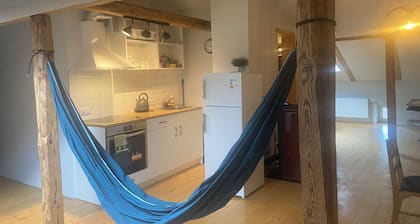 Cozy apartment in a historical building in the center of Cēsis. Pet-friendly!