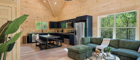 Smart TV, fireplace, video games, DVD player