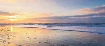 Knus Verblijf aan de Rand van de Duinen, Strand, Bollenstreek en Stad Haarlem