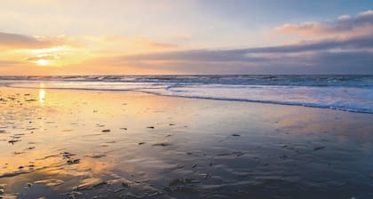 Knus Verblijf aan de Rand van de Duinen, Strand, Bollenstreek en Stad Haarlem