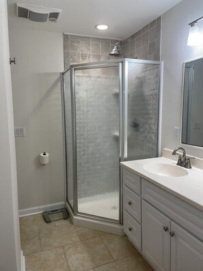 Shower, hair dryer, toilet paper