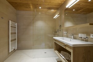 Shower, hair dryer, toilet paper