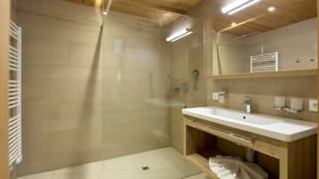 Shower, hair dryer, toilet paper