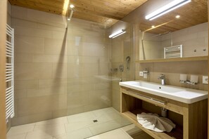 Douche, séchoir à cheveux, papier de toilette